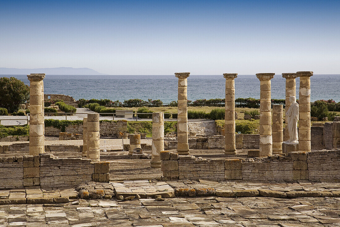 Ruins of basilica,  archaeological site of old roman city of Baelo Claudia,  Bolonia,  Tarifa. Costa de la Luz,  Cadiz province,  Andalusia,  Spain