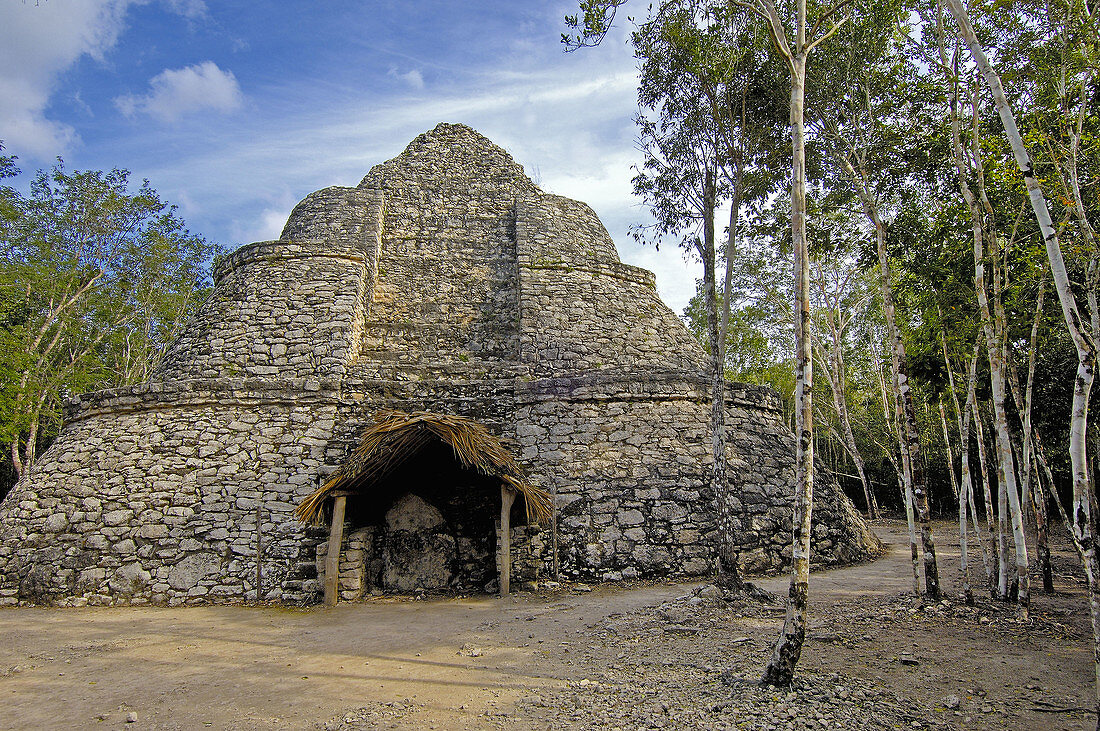 Small PYramid at Mayan ruins of Coba,  Caribe Quintana Roo state Mayan Riviera Yucatan Peninsula Mexico