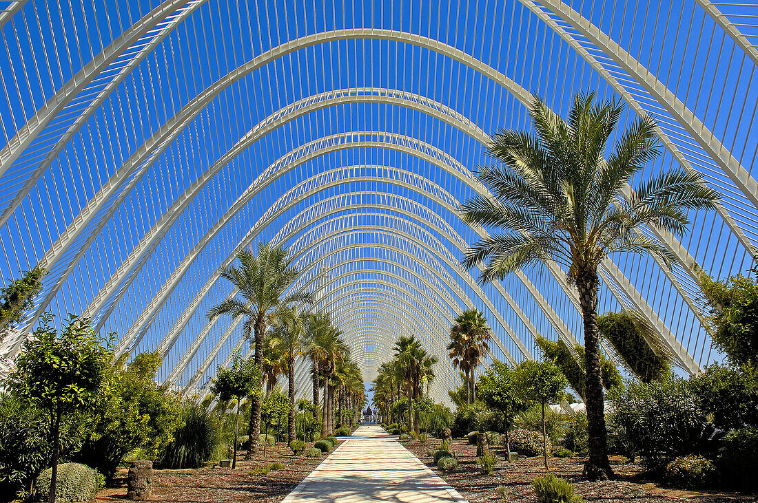 L´ Umbracle, by S Calatrava City of Arts and Sciences Comunidad Valenciana Valencia Spain