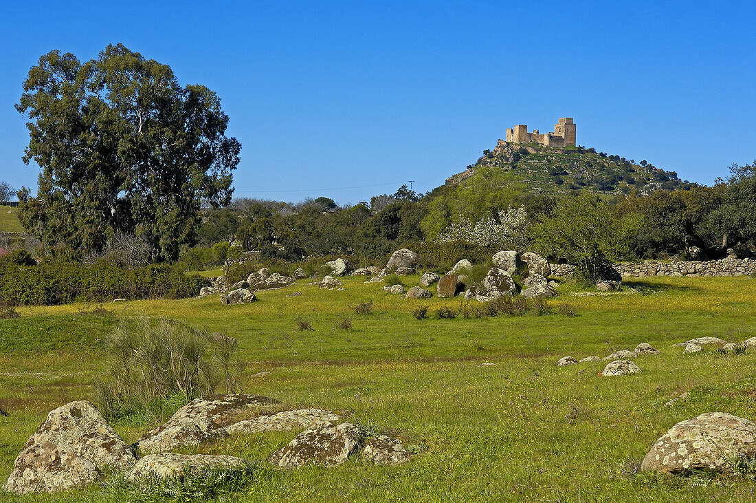 Burguillos del cerro Castle Badajoz province Extremadura Spain