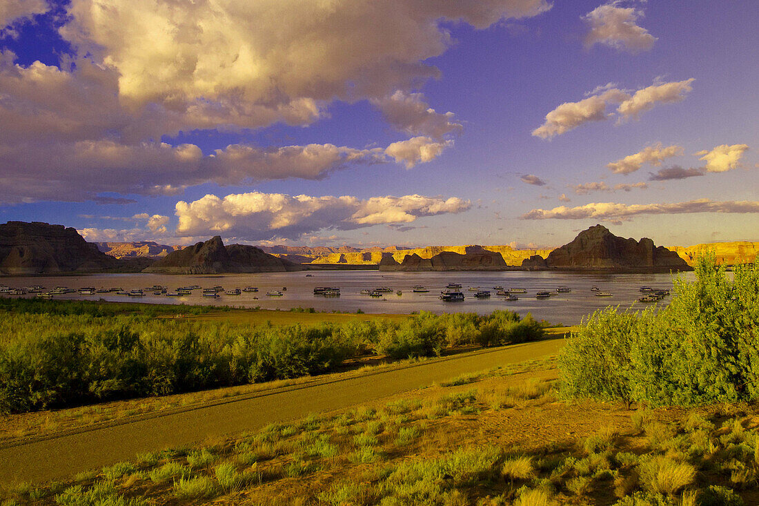 Houseboats at Wahweap Marina,  Lake Powell,  Glen Canyon National Recreation Area,  Arizona USA