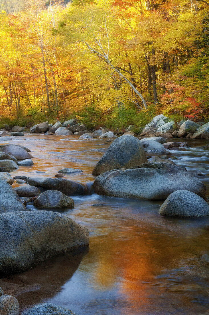 America, Autumn, Cold, Color, Colour, Cool, Creek, Fall, Landscape, New, New Hampshire, October, Orange, Reflection, River, Rock, scenic, United states, Vermont, Water, Yellow, S19-830124, agefotostock 