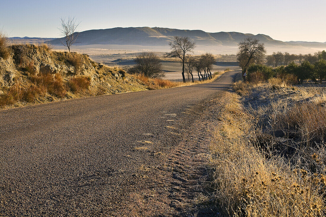 Carretera local. Castilla la Mancha. España.