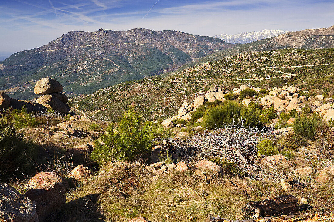 Sierra de Gredos desde el risco de Serpe en Pedro Bernardo. Castilla León. España.