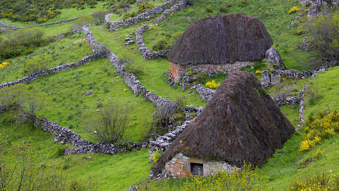 Asentamiento de pastores o braña. Parque Natural de Somiedo. Asturias. España. Europa.