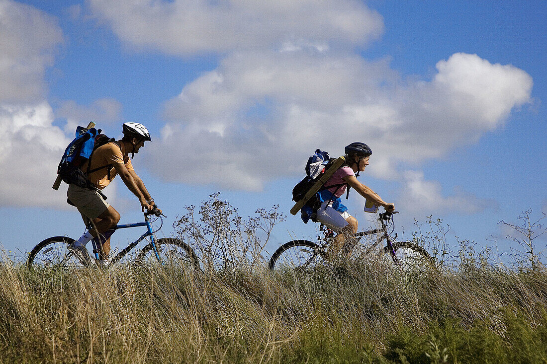 Ile de Ré: cycling in the salt marshes of Lilleau des Niges