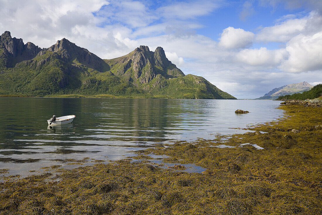 Steinlands fjorden,  Langoya island,  Vesteralen,  Nordland,  Norway