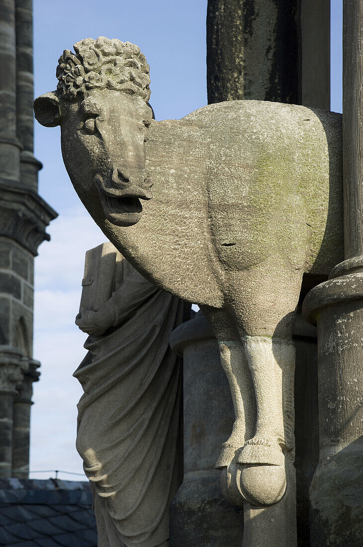 Domkuh am Suedwestturm-Dom-Bamberg