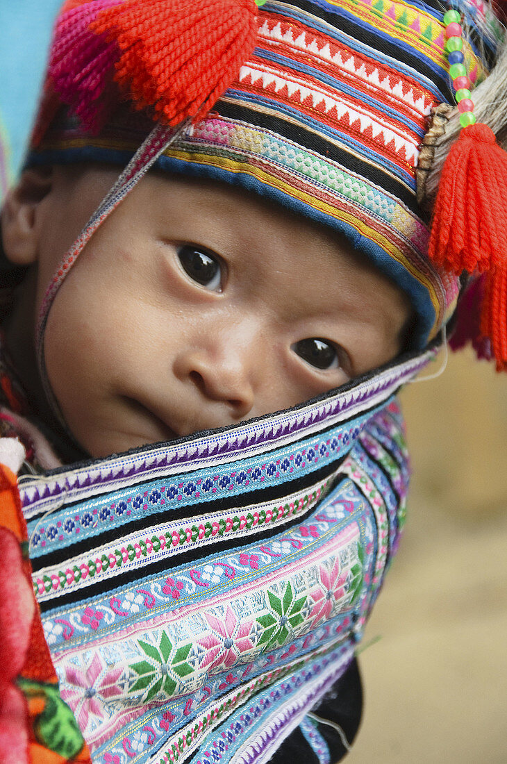 young Hmong baby being carried on his mothers back near Sapa Vietnam