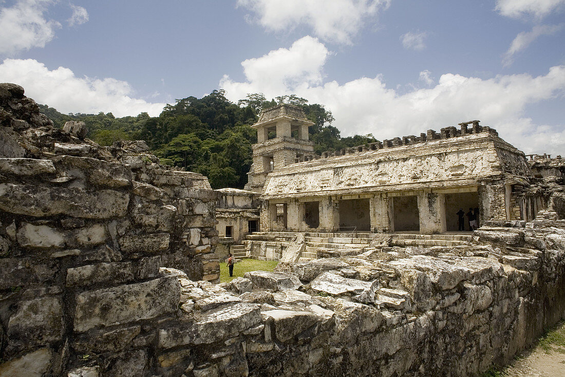 Palenque. Chiapas. Mexico.