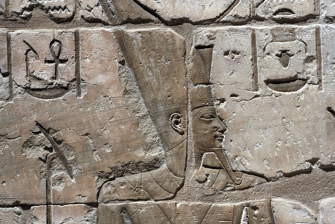 Portrait Relief, Medinet Habu temple,  Luxor,  Egypt