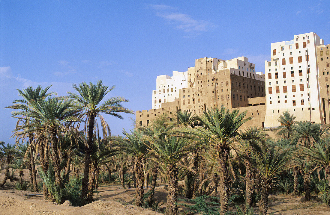 SHIBAM,  HADRAMAWT,  YEMEN