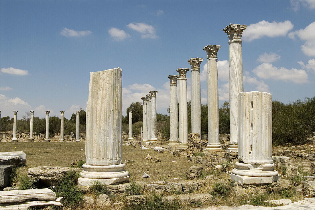 Ruins of Roman gymnasium in Salamis ancient city,  Cyprus