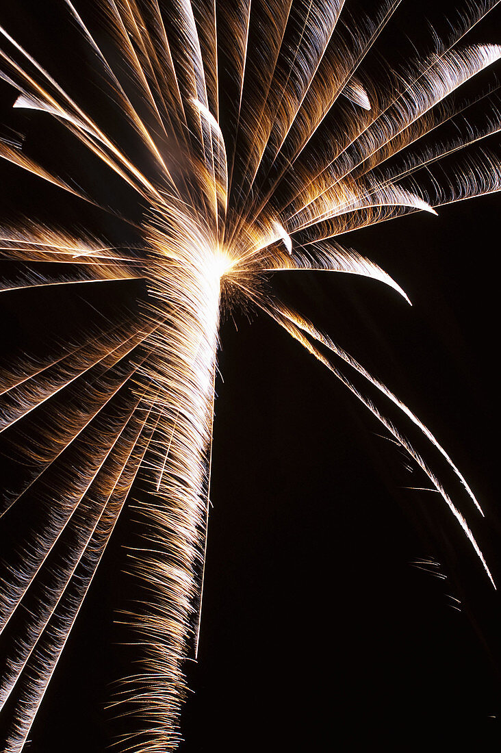 The pirotecnic art,  fine art on fireworks,  traditional fireworks