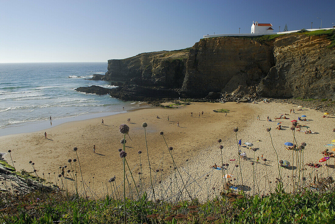 Playa de Zambujeira do Mar. Costa Vicentina.Portugal