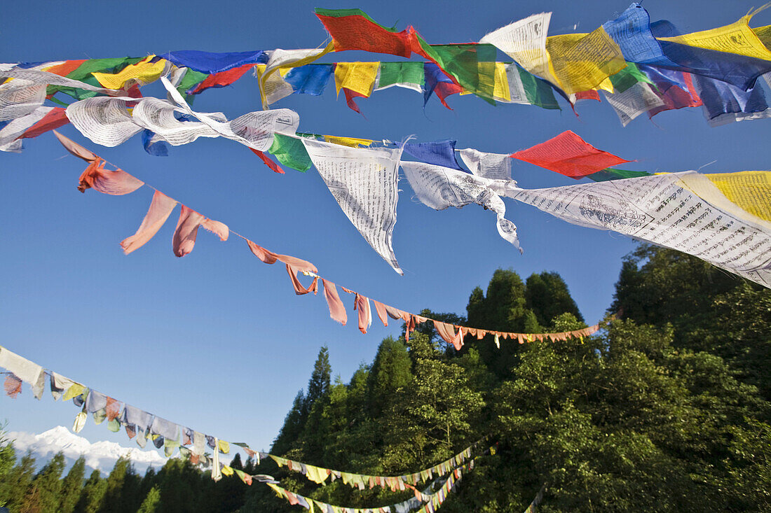 India,  Sikkim,  Gangtok,  Ganesh Tok,  Prayer flags and Kanchenjunga range