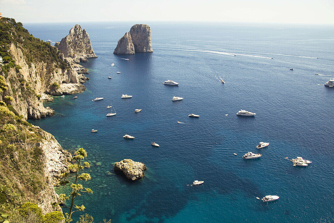 Faraglioni rocks and coastline,  Capri,  Italy