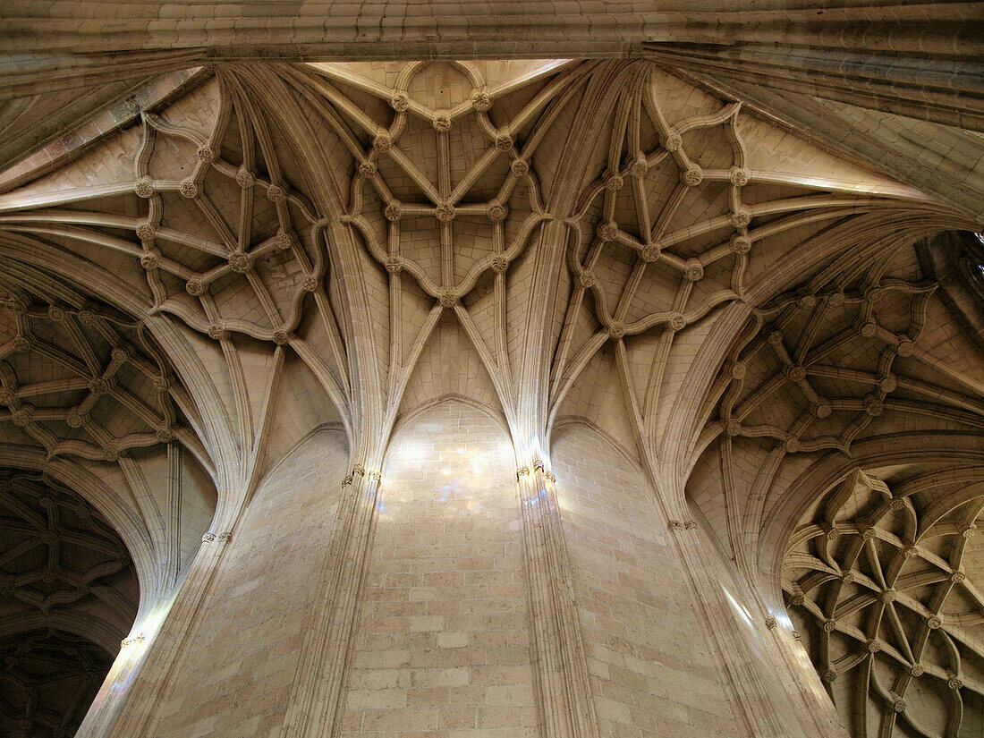 Nervaduras. Catedral de Segovia. Castilla y León. España.