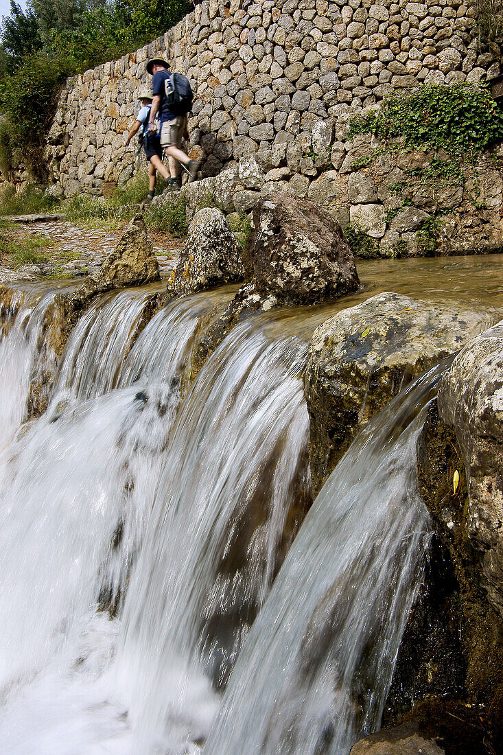 Bach, Schlucht von Biniaraix, Serra de Tramuntana. Mallorca, Balearische Inseln, Spanien