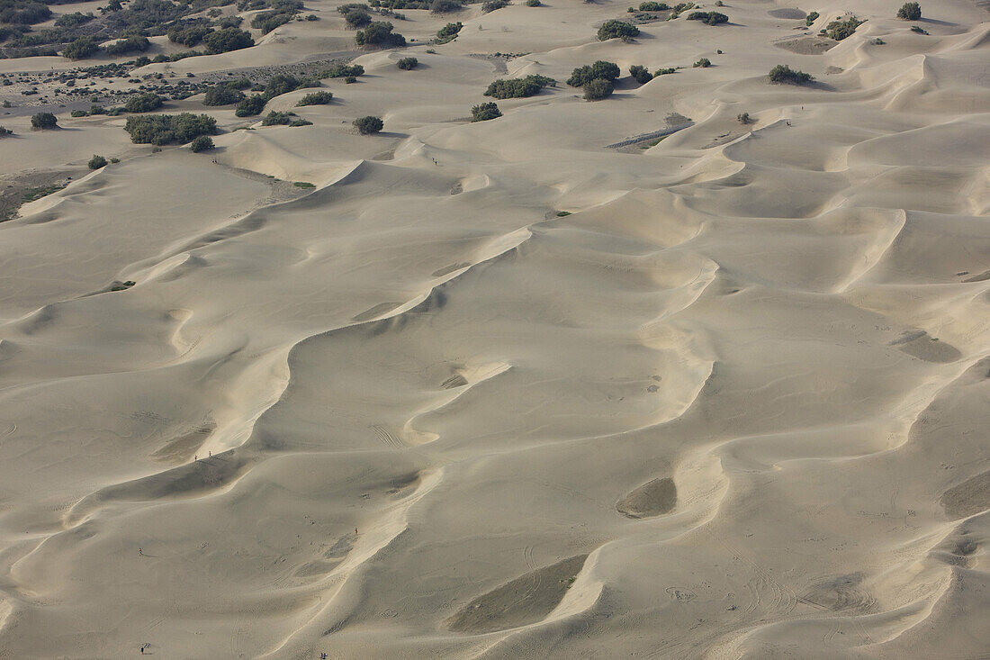 Playa de Maspalomas, Gran Canaria, Kanarische Inseln, Spanien