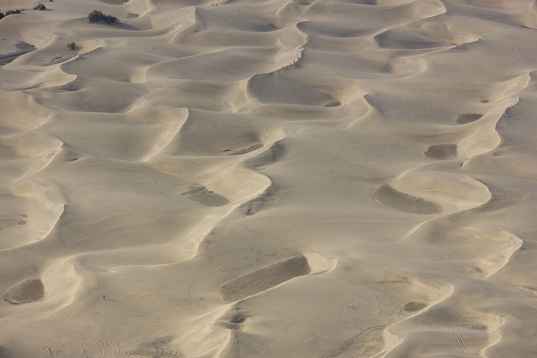 Playa de Maspalomas,  Gran Canaria,  Canary Islands,  Spain