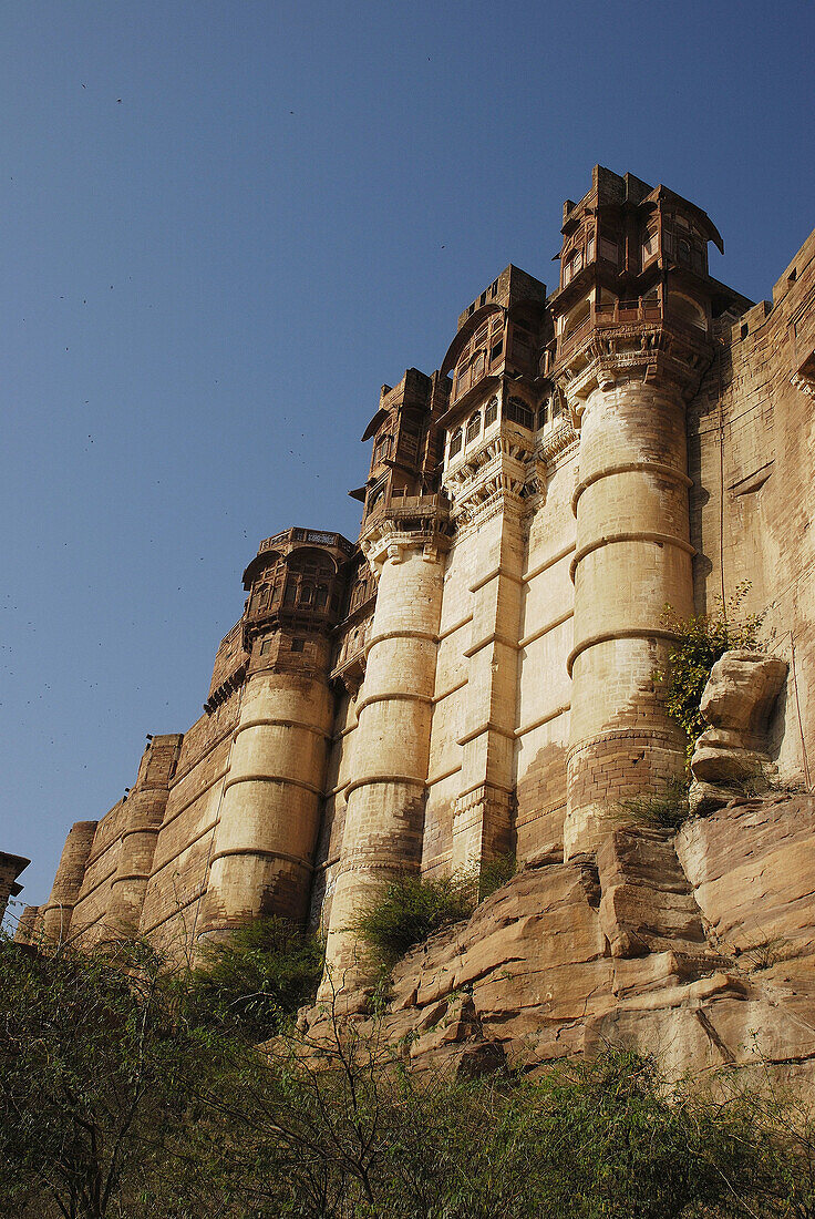 Mehrangarh Fort in Jodhpur  India