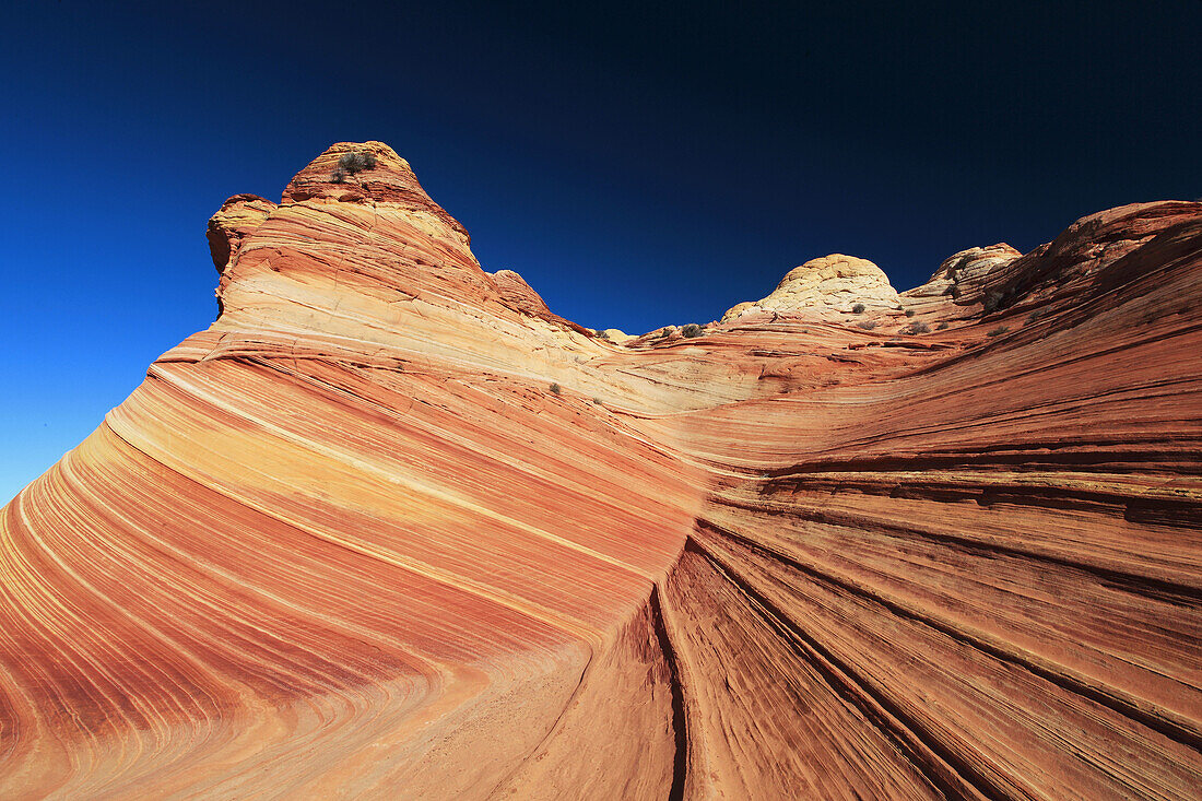 Coyote Buttes North,  The Wave,  sandstone formed by wind and water,  Paria Wilderness Area,  Arizona,  USA
