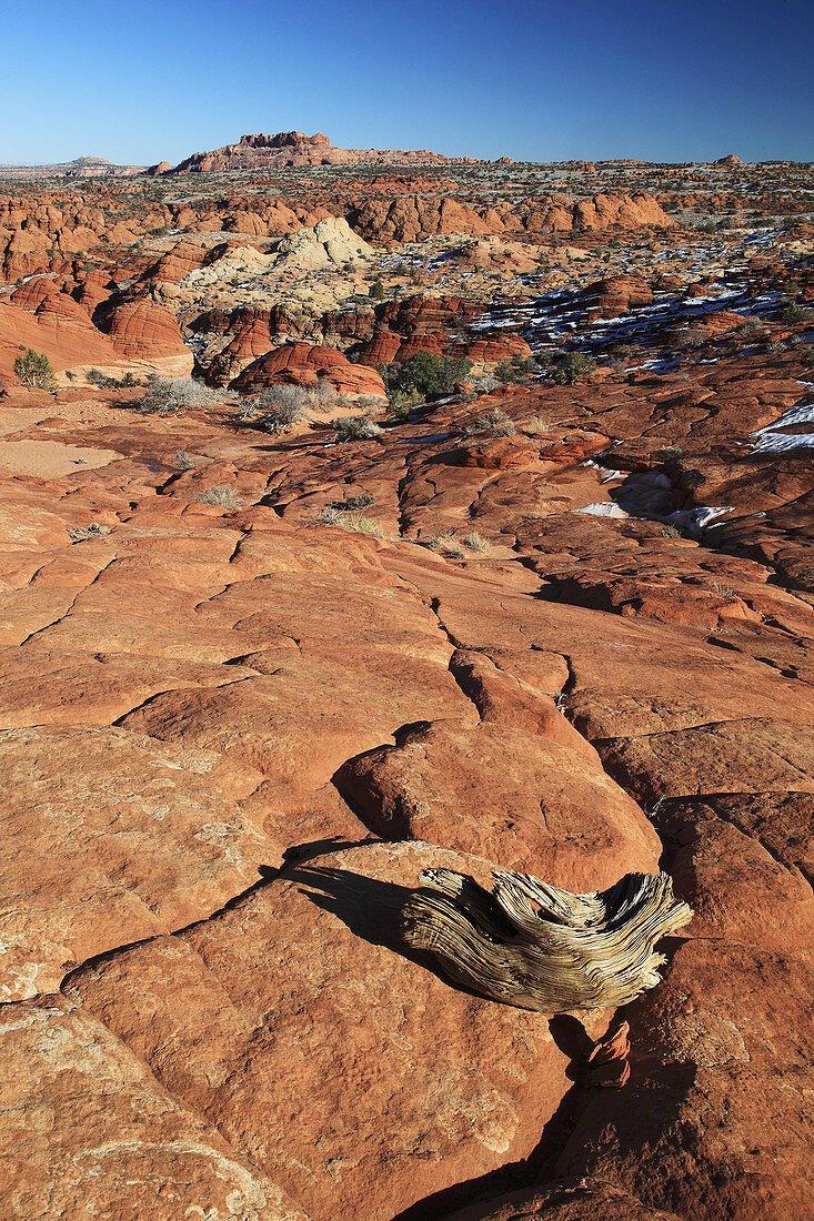 Coyote Buttes North,  fragil sandstone formed by wind and water,  Paria Wilderness Area,  Arizona,  USA