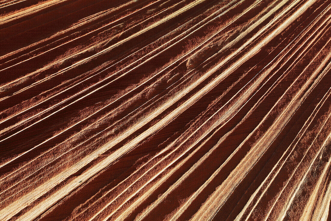 Coyote Buttes North,  fragil sandstone formed by wind and water,  Paria Wilderness Area,  Arizona,  USA