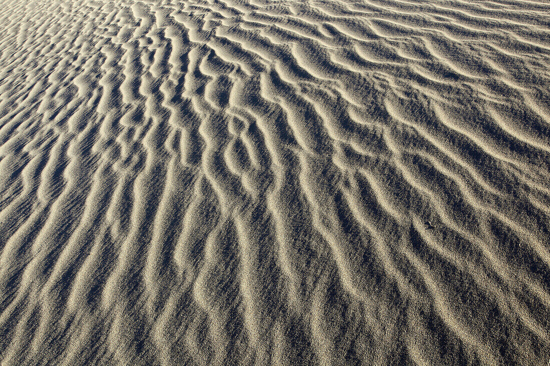 Mesquite Flats Sand Dunes,  sand dunes,  desert area,  Death Valley National Park,  California,  USA