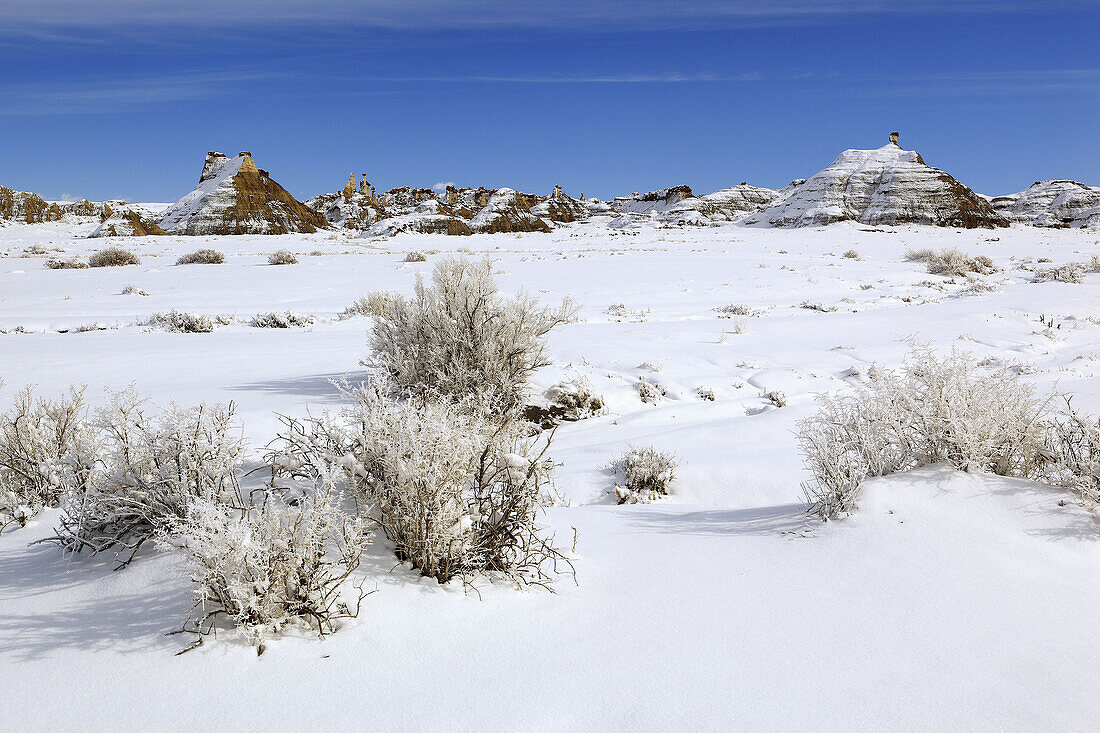 Bisti Badlands,  hoodoos eroded out of sandstone and clay in winter,  Bisti Wilderness,  New Mexico,  USA