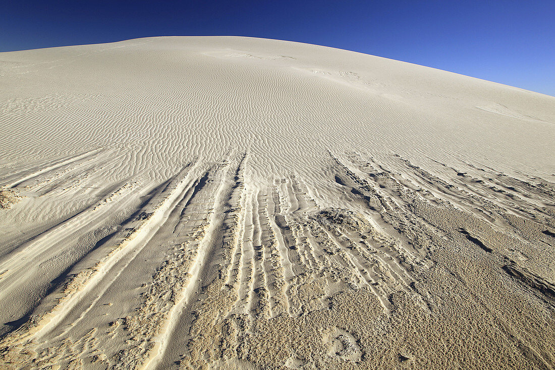 gypsum sand dune,  White Sands National Monument,  Tularosa Basin, New Mexico,  USA