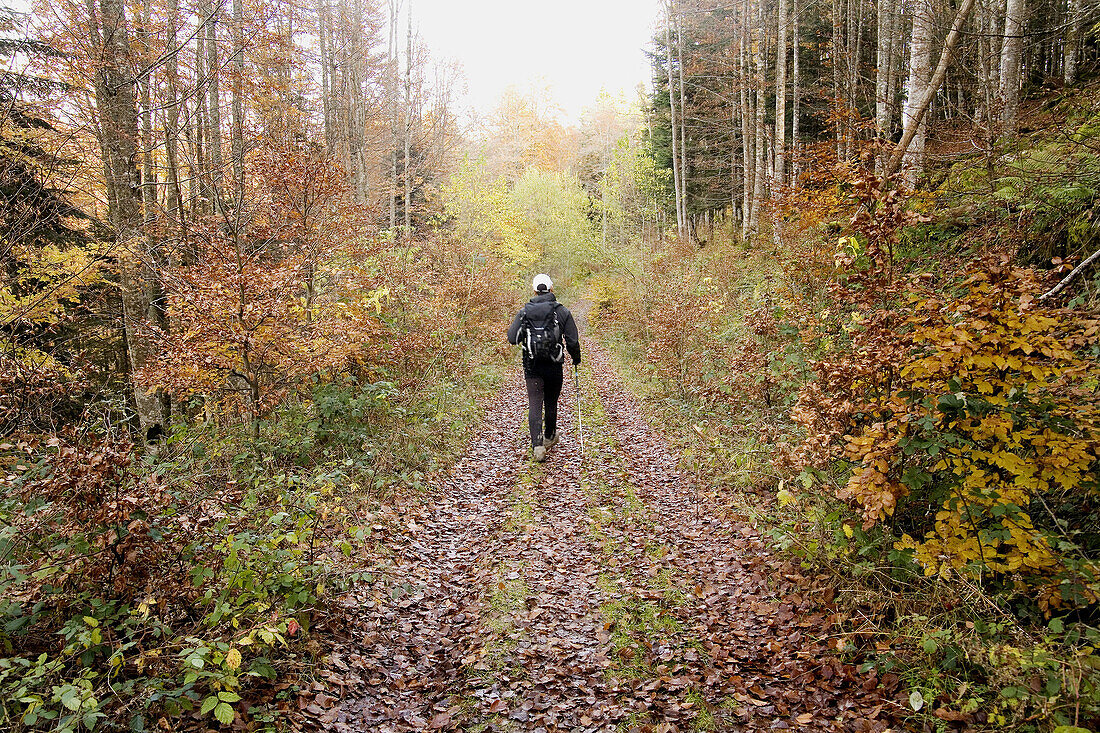 Adult, Adults, Autumn, Back, Backpack, Body, Color, Colour, Contemporary, Daytime, Equipment, Europe, Exterior, Fallen, Forest, Forests, Full, Full-body, Full-length, Gear, Hike, Hiker, Hikers, Hiking, Human, Irati, Leaves, Leisure, Length, Man, Navarra, 