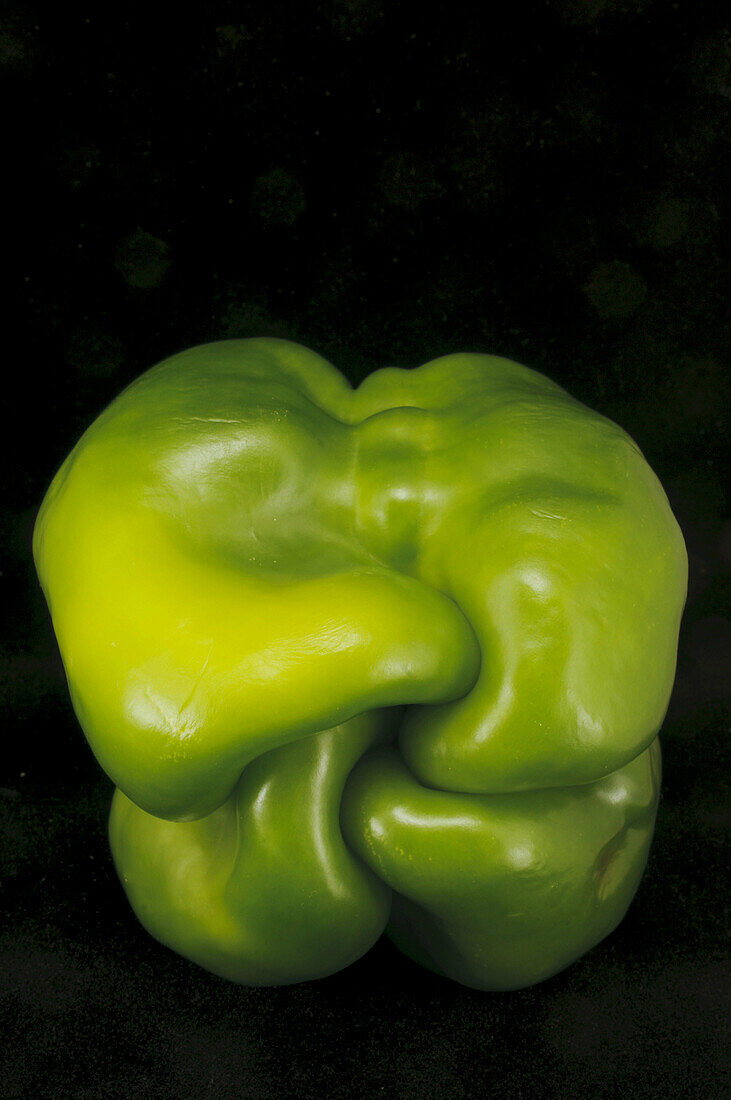 Green pepper Capsicum annuum in studio light