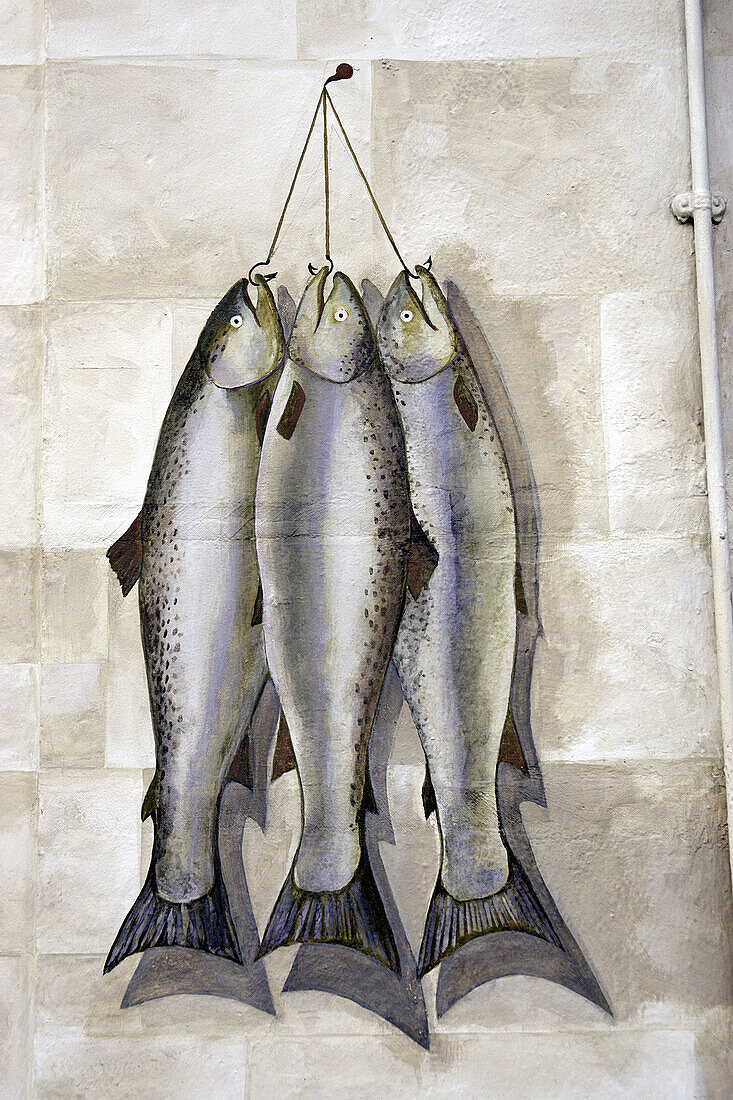 Ireland Dublin Pub The Blarney Inn three fish