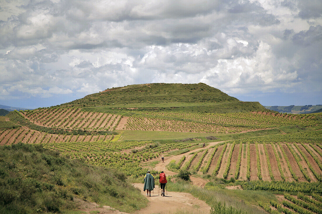 Way to Santiago,  Camino de Santiago