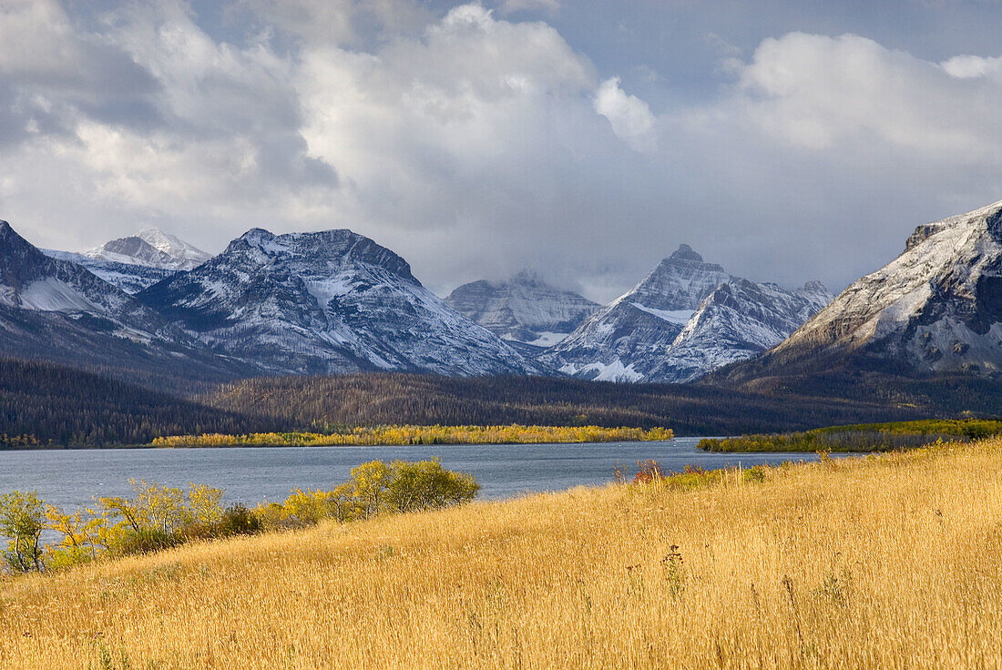 Prairie grasses in autumn at Two Dog Flats,  Glacier National Park Montana USA