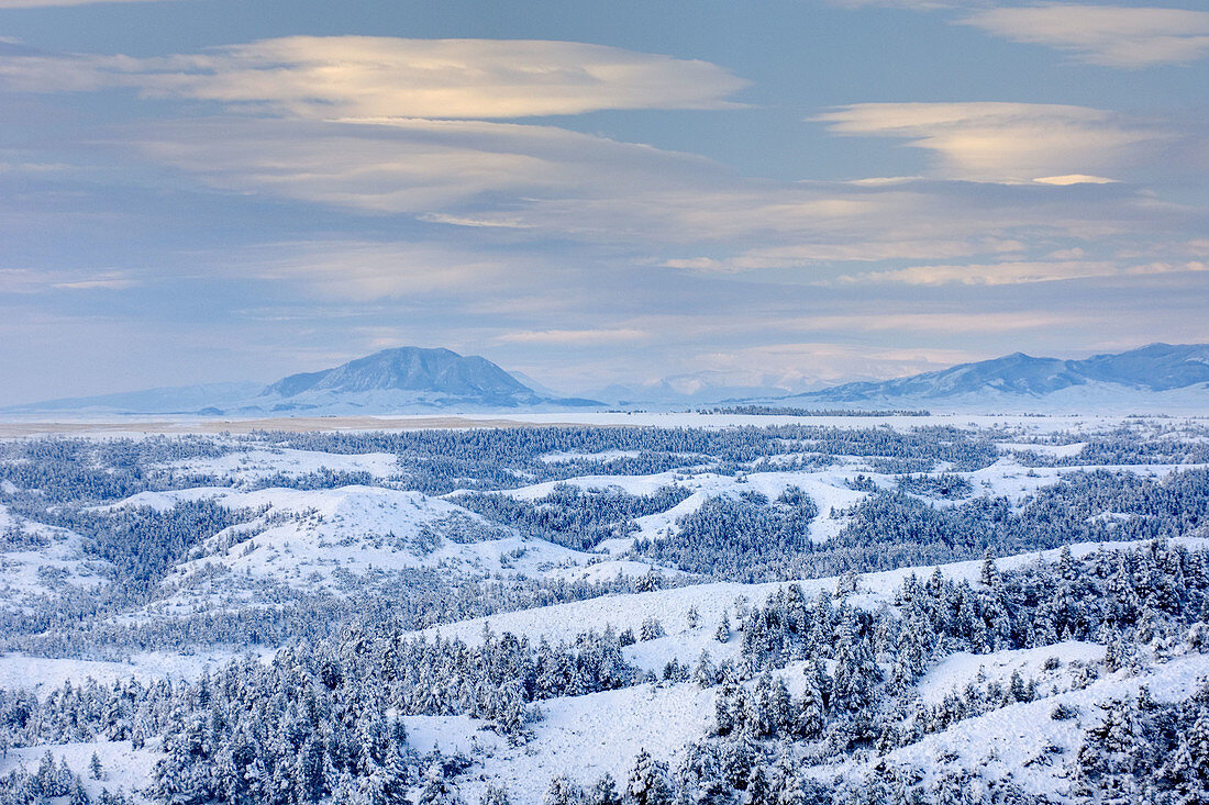 Fresh snow cloaks the plains near the Bear Paw Mountains of Montana USA