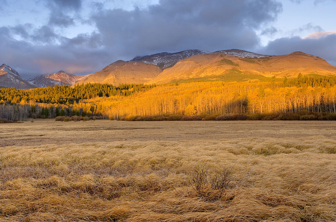 Dawn on the Rocky Mountain Front Ranges of Glacier National Park Montana USA