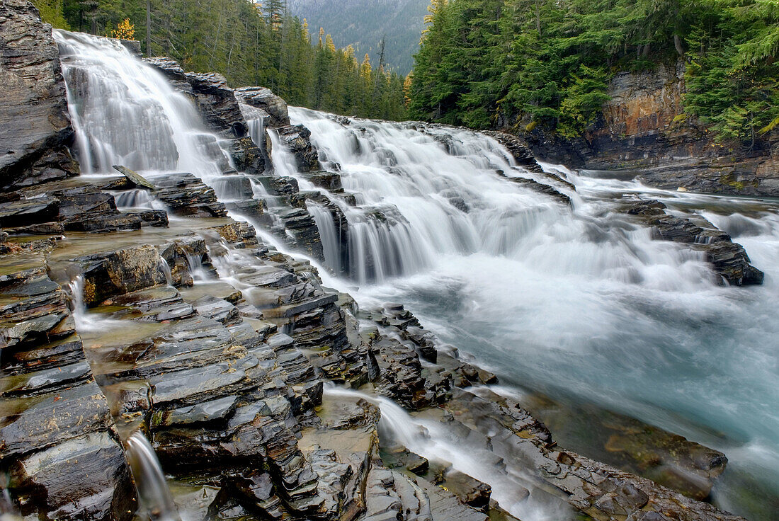 Waterfalls tumbling over layered sedimentary rocks of McDonald Creek,  Glacier National Park Montana USA
