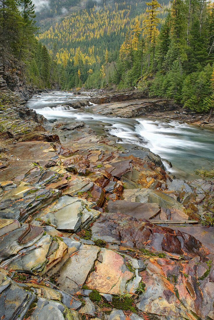 Waterfalls tumbling over layered sedimentary rocks of McDonald Creek,  Glacier National Park Montana USA