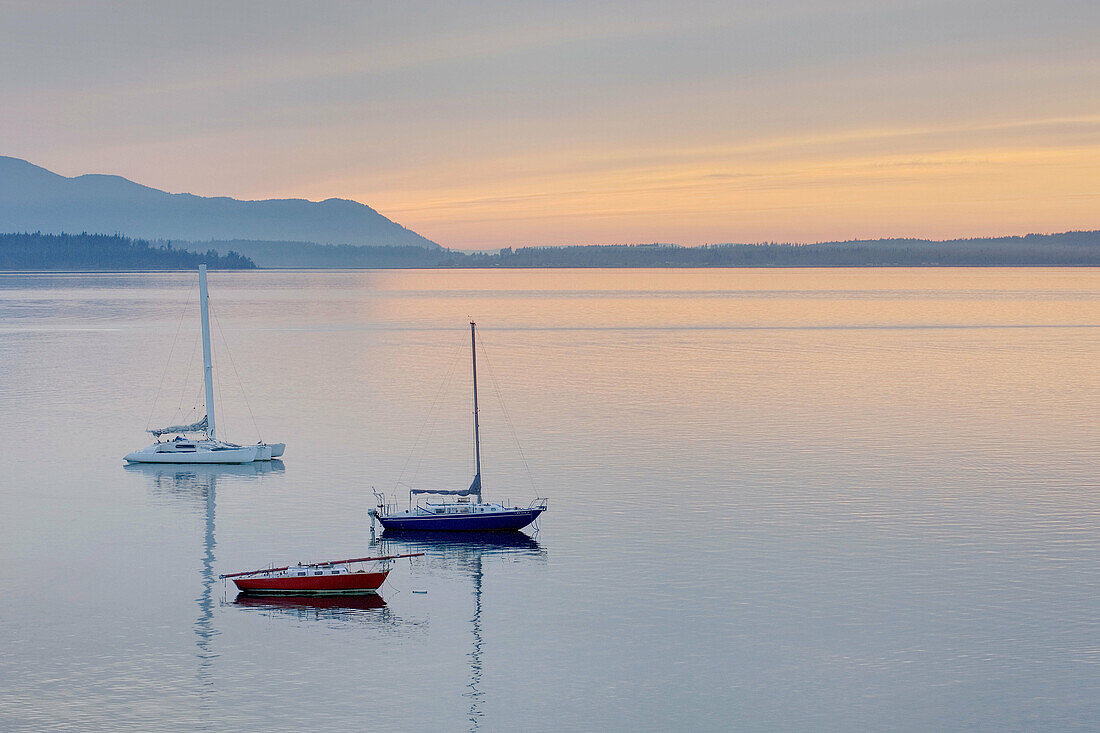 Sailboats anchored in Bellingham Bay,  Lummi Island is in the distance,  Bellingham Washington USA