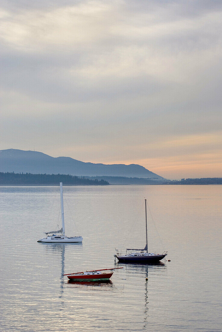 Three sailboats anchored in Bellingham Bay,  Lummi Island is in the distance,  Bellingham Washington USA