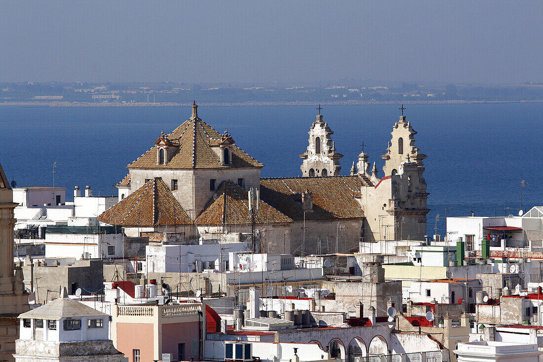 Iglesía de San Francisco. Cádiz,  Andalucía,  España. Europa.