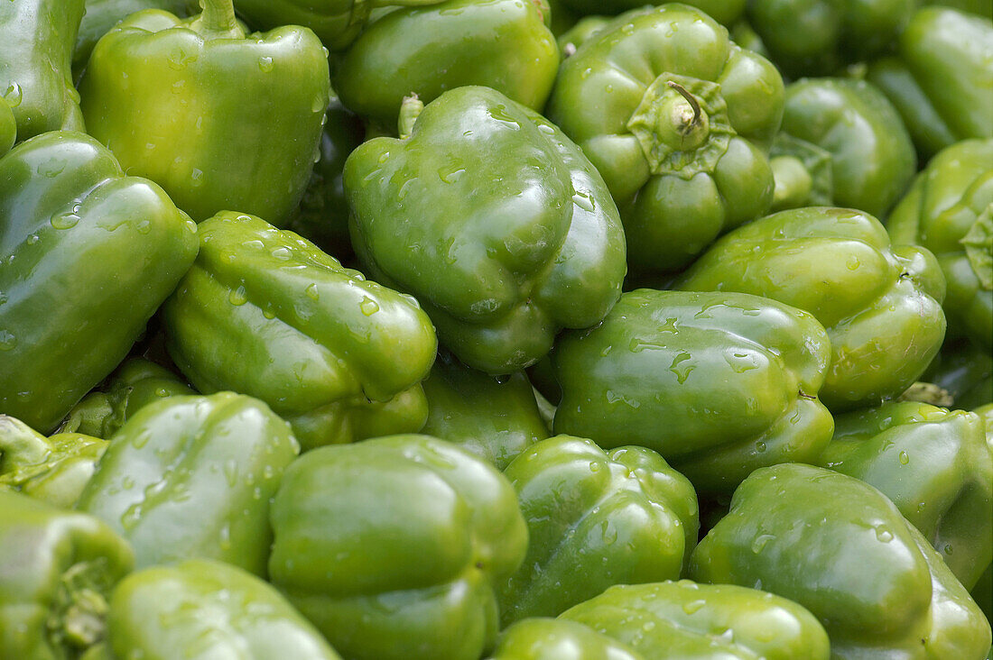 green peppers Capsicum annuum