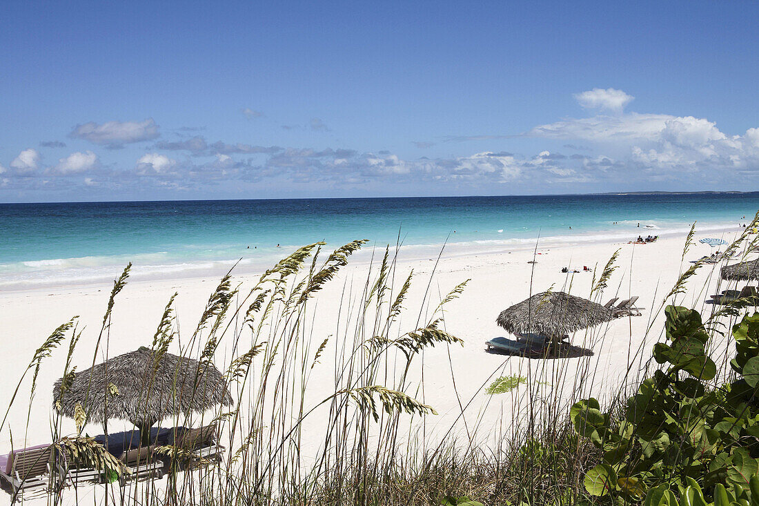Bahamas Eleuthera Harbour Island Pink Sand Beach