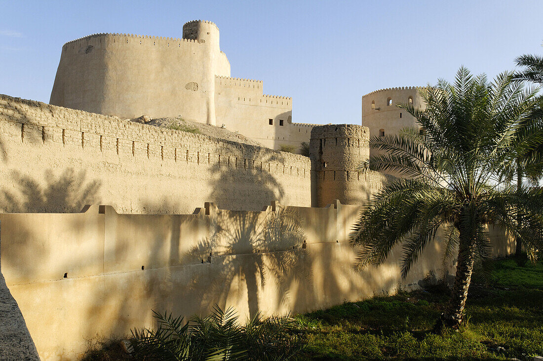 historic adobe fortification Rustaq Fort or Castle,  Hajar al Gharbi Mountains,  Batinah Region,  Sultanate of Oman,  Arabia,  Middle East