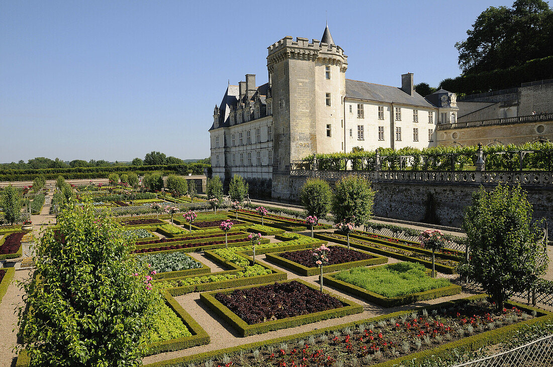 France,  Villandry 37  Castle and decorative vegetable garden