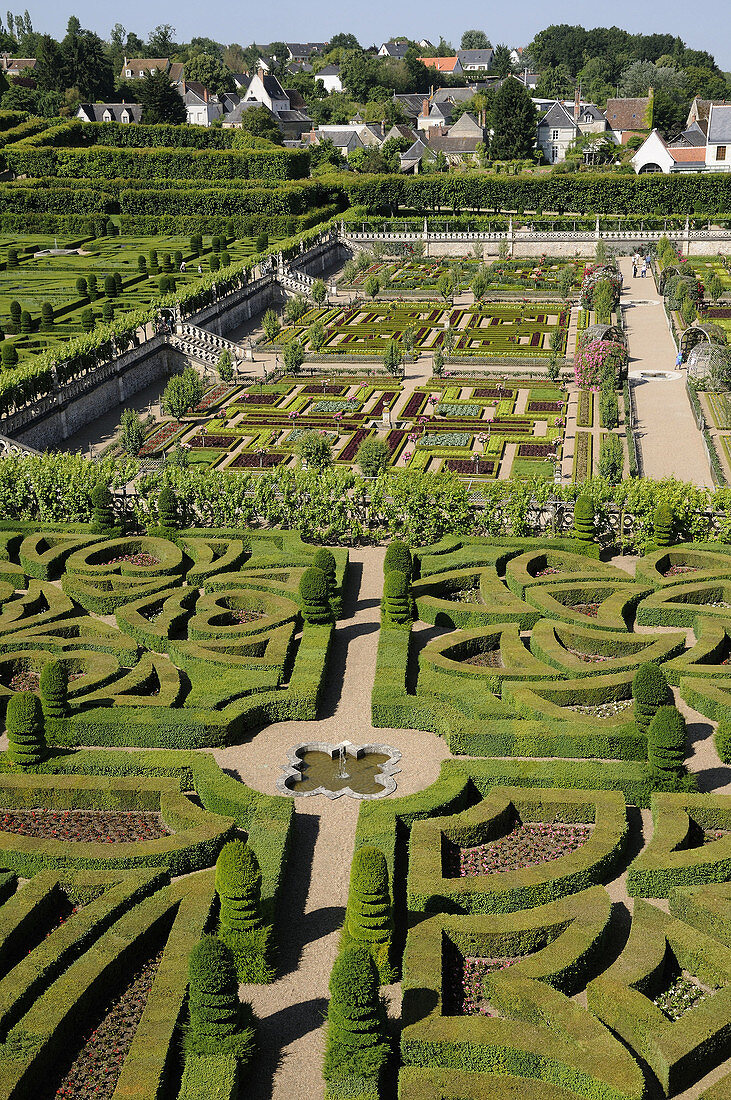 France,  Villandry 37  Ornamental and vegetable gardens in castle of Villandry gardens