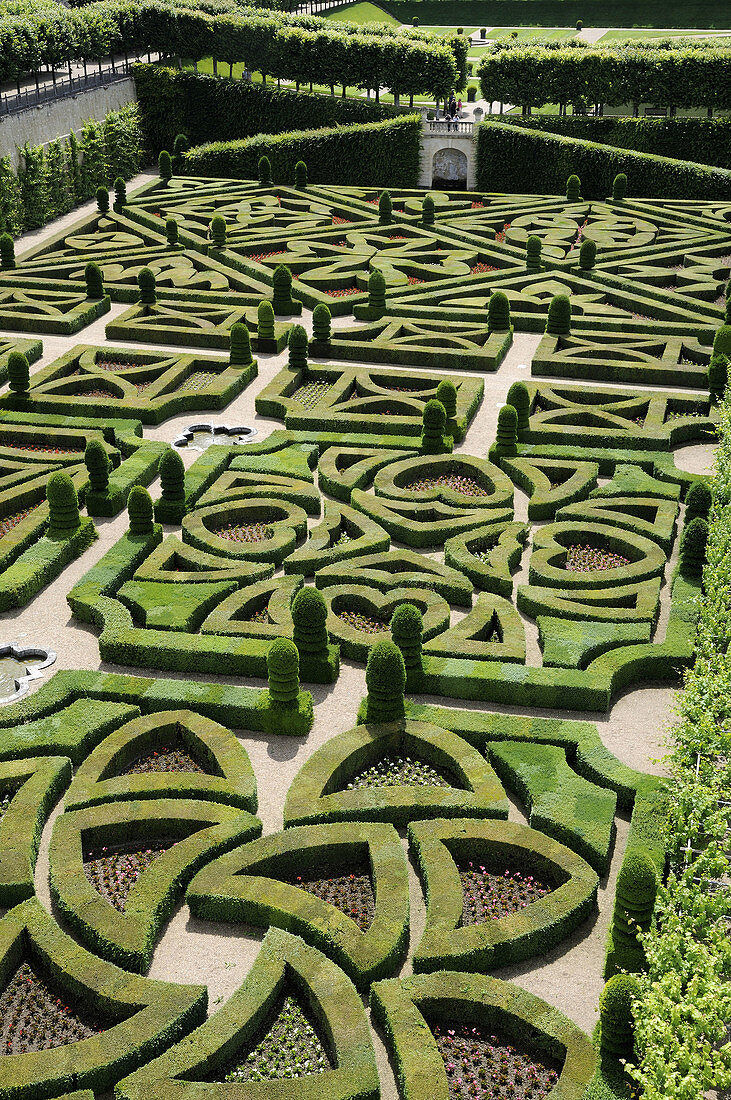 France,  Villandry 37  Ornamental garden in Villandry castle gardens